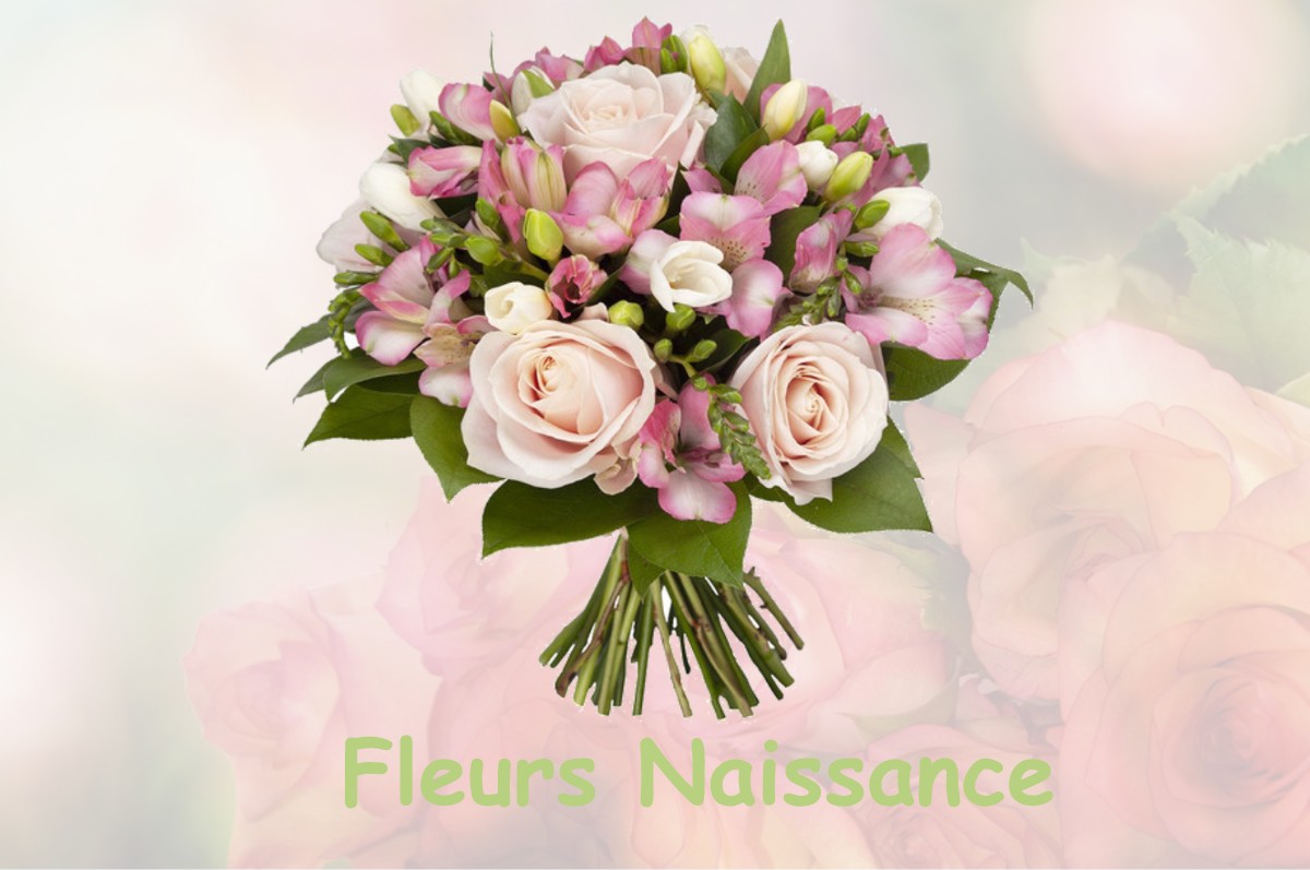 fleurs naissance TROUSSEY